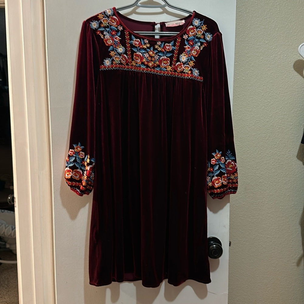 Savannah Jane Red Velvet Embroidered Dress